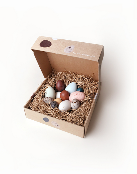 A Dozen Bird Eggs in a box