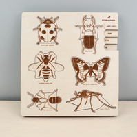 Bug Life Cycle Wooden Puzzle