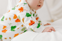 Bamboo Cotton Two-Piece PJ Set - Eric Carle Autumn Leaves
