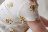 Bamboo Jersey Short Sleeve T-Shirt - The Lion and The Mouse