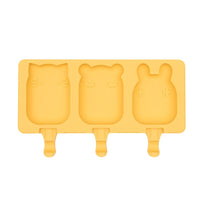 ICE POP MOLD